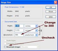 Absolute Printing Rule: Always Check The Dpi --The Pixels Per Inch (Ppi)  Setting For The Photograph Before You Print