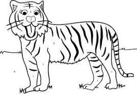 Tiger Coloring Numbers Kids Girls Boys Children Tiger Drawing Coloring Pages For Kids Preschool Colors