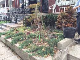 Point2 gives you far the search results pages also have a wealth of information on trinity bellwoods, toronto, on. Toronto Trinity Bellwoods The Garden Girls