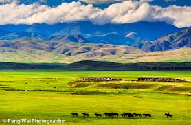 Best landscape company near your location. Elevation Map Of Xinjiang China Topographic Map Altitude Map