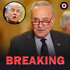 Sen. Elizabeth Warren (D-MA) arrived in Miami, Florida