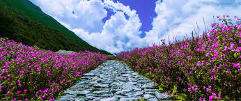 We did not find results for: The Valley Of Flowers In Uttarakhand Himalayas Opening Dates 2021 Best Time Visit Etc