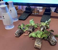Use Your Iphone To Help You Grow Food With The Miracle Gro Twelve Indoor Growing System Appleinsider