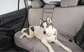 We put together a sleepypod mobile pet bed review where we outline the features and drawbacks to this popular 2 in 1 pet bed, and pet carrier. Subaru Partners With Sleepypod For Pet Accessories 04 30 2021