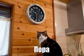 images?q=tbn:ANd9GcRO54qp5ETxga9Axy6ss_X