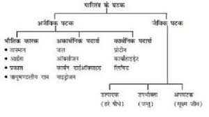 Meaning Of Ecology In Hindi Ecology Meant To Be Hindi