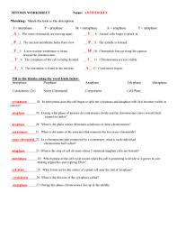 Cell growth and protein production stop at this stage in the cell cycle. 31 The Cell Cycle Worksheet Answers Worksheet Resource Plans