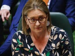 Allan government to release huge plots of land for new homes