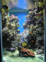 Akvaryum Habitat Tuzlu Su Akvaryumu Icin Tuz Karisimi