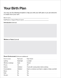 Customizable Birth Plan Template Free Editable Birth Plan Sample Birth Plan Template Simple Business Plan Template How To Plan