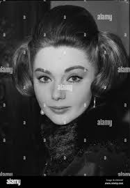 Reception jan hi-res stock photography and images