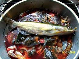 Check spelling or type a new query. Fish Fertilizer Myth It Is Not The Best Fertilizer