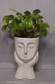 Camellia Lane's Instagram, Twitter & Facebook