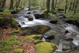 Lambusart, hainaut, walloon region, belgium რუკა, ადგილმდებარეობა lambusart, კოორდინატები. Regionaler Naturpark Der Ardennen Tourismus In Den Ardennen