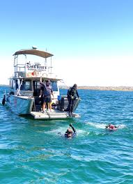 Lake havasu state park is the right place to do it. Body Of Canoga Park Teenager Is Recovered From Lake Havasu Los Angeles Times