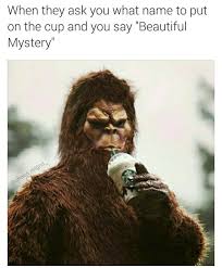 Instagram Photo By Chaos Reigns May 29 2016 At 2 07am Utc Workout Memes Funny Funny Food Memes Workout Memes