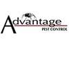 At berrett, we provide a wide range of pest control services for residential and commercial properties. Paolo Bossio President And Ceo Advantage Pest Control Inc Linkedin