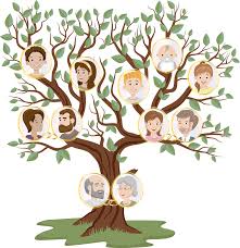 With a family tree, you are able to trace your family's story through time. Family Tree Genealogical Free Vector Graphic On Pixabay
