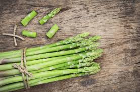 Image result for Asparagus richardsiae