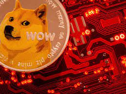 Varies depending on account level; Dogecoin Beware Your Love For Elon Musk And Dogecoin May Land You In A Scam The Economic Times