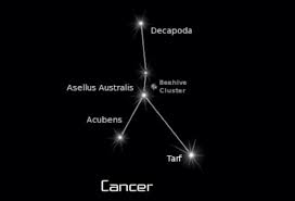 Cancer is best known among stargazers as the home of praesepe (messier 44), an open cluster also called the beehive cluster, located right in the centre of the cancer, which is latin for crab, is the dimmest of the 13 constellations of the zodiac, having only two stars above the fourth magnitude. Cancer The Crab By Blim Ireland