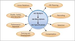 Human resource management (hrm or hr) is the strategic approach to the effective management of people in a company or organization such that they help their business gain a competitive advantage. Hrm Quick Guide Tutorialspoint