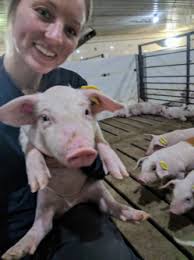 Ag United :: Guest Blogger: Erin Little, Swine Researcher