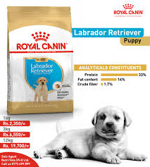 Learn more about our commitment to making the world better for people and our pets! Labrador Retriever Puppy Royal Canin Sri Lanka Facebook