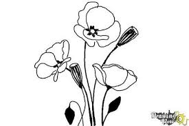 How To Draw A Poppy We Will Be Doing A Simple Flower Image Today And To Be More Specific We Will Provide You The St Poppy Drawing Flower Drawing Poppy Painting