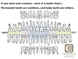 Teeth Letters And Numbers Google Search Dental Tooth