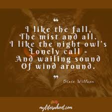 Fall Autumn Night Owl Quote Poem Owl Face Eyes Bird Of Prey Night Owl Quotes Owl Quotes Night Owl