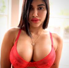 ulfat shehjadi @ulfatshehjadi - Twitter Profile | Sotwe