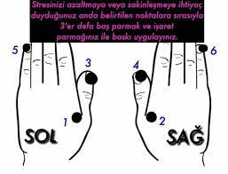 Nese Nin Gozdeleri Akupresur Stres Refleksoloji