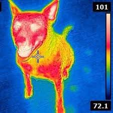 Learn vocabulary, terms and more with flashcards, games and other study tools. Trippie Redd Unearths Xxxtentacion Collaboration Ghost Busters With Quavo Ski Mask The Slump God Genius