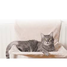 Kedi Yatagi Kedi Yataklari Kedi Sepeti Modelleri Ve Fiyatlari Lazimbana Kedi Kopek Yatagi Kedi Evi