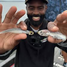 I wish I understood why herring get in certain places. I DO KNOW THIS‼️  When I find herring vs when I find threadfin the size of fish is completely  different. The bigger