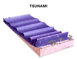 Model Of A Tsunami Science Activities For Kids Science Fair Tsunami