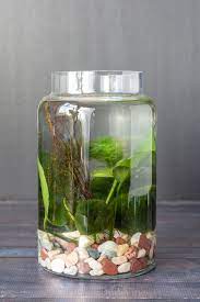 Indoor window garden ideas 2. How To Make An Indoor Water Garden Hearth And Vine