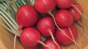 How about a word that is commonly mispronounced for other reasons? Growing Radishes Youtube