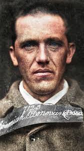 This is a list of notable people buried in Glasnevin Cemetery. Thomas Ashe 