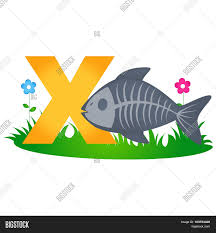 We did not find results for: Animal Alphabet Letter Image Photo Free Trial Bigstock