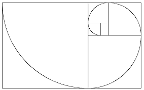 The head forms a goldenrectangle with the eyes at its midpoint. é»ƒé‡'çŸ©å½¢ é»ƒé‡'çŸ©é™£ é»ƒé‡'åˆ†å‰² æ¦‚å¿µ ç°¡ä»‹ çŸ¥è­˜ç°¡ä»‹ ç¾Žå­¸å®šå¾‹ é»ƒé‡'é»ž é»ƒé‡'çŸ©å½¢å¯¦ä¾‹ ä¸­æ–‡ç™¾ç§'å…¨æ›¸