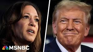 GOP senator blocks federal bill to protect IVF