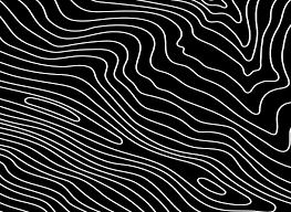 2021 SAIL Gratitude Report