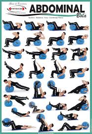 Exercise Charts For Stability Ball Balance Ball Swiss Ball And Bosu Easy Yoga Workouts Ball Exercises Workout Chart