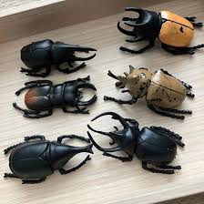 セリア カブトムシ