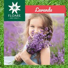 Avem peste 6.000.000 de produse de la magazine si vanzatori profesionisti in okazii.ro marketplace. Floare De Colt Magazin Naturist Bio 757 Photos Health Food Store PolonÄ No 68 72