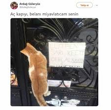 Only My Owl Adli Kullanicinin Komik Seyler Panosundaki Pin 2020 Yamaha Motosikletler Komik Komik Goruntuler