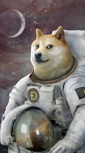 Doge wallpaper hd 77 images. Doge Phone Wallpapers Top Free Doge Phone Backgrounds Wallpaperaccess