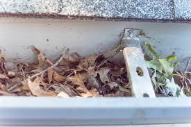 However, some types of gutter guards are better than others, and they. What Is A Reverse Curve Gutter Guard And How Does It Work